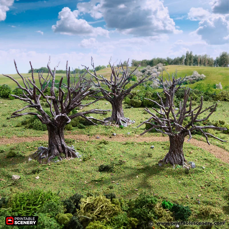 PS King and Country Oak Trees