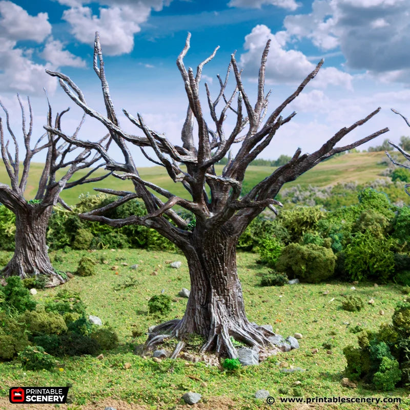 PS King and Country Oak Trees