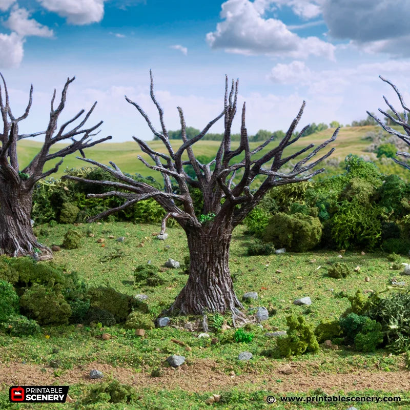 PS King and Country Oak Trees