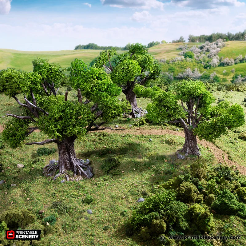PS King and Country Oak Trees