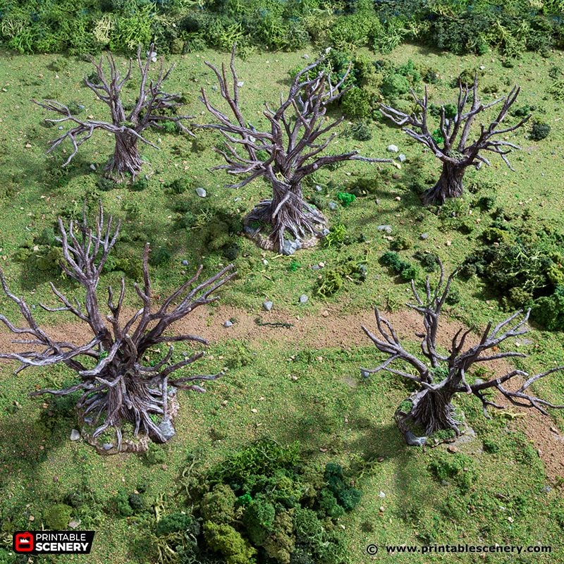 PS King and Country Oak Trees